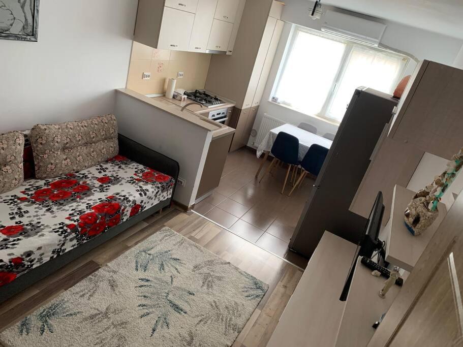 Lovely Bacau 1 Bedroom Apartment Ngoại thất bức ảnh